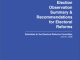 2008 General Election Observation Summary and Recommendation for Electoral Reforms