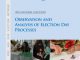 2013 General Election Observation and Analysis of Election Day Processes