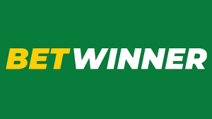 BetWinner Contacts How to Reach the Support Team