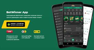 Betwinner Your Ultimate Online Betting Platform