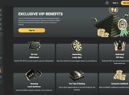 All You Need to Know About JB Casino 441507145 All You Need to Know About JB Casino 441507145