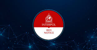 Understanding the Role of Interpol Defense Lawyers 1334536801