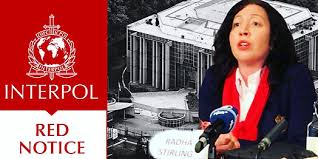 Understanding the Role of Interpol Defense Lawyers 1334536801