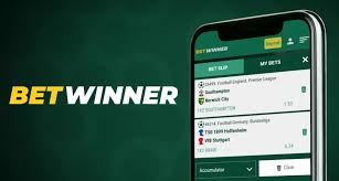 Comprehensive BetWinner Review A Guide to Sports Betting and Casino Games